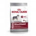 Φαγητό για ζώα Royal Canin Medium Sterilised Ενηλίκων Καλαμπόκι Πουλιά 3 Kg 3,5 g