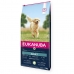 Fodder Eukanuba ADULT Adult Lamb Rice 12 kg