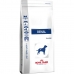 Fodder Royal Canin Renal Adult Meat Rice Vegetable 7 kg