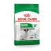 Foder Royal Canin Mini Adult 8+ Senior Grönsak Fåglar 8 kg