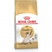 Cat food Royal Canin Siamese Adult Chicken Birds 2 Kg