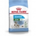 Io penso Royal Canin Starter Mother And Babydog Adulto Uccelli 1 kg