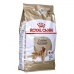 Φαγητό για ζώα Royal Canin Golden Retriever Adult Ενηλίκων Κοτόπουλο 12 kg