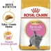 Cibo per gatti Royal Canin Riso Vegetale Uccelli 10 kg