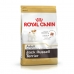 Pienso Royal Canin Jack Russell Adult  Adulto Arroz Aves 1,5 Kg
