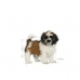 Penso Royal Canin Shih Tzu Puppy Cachorro/júnior Vegetal 500 g