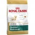 Sööt Royal Canin  BHN Golden Retriever Puppy Laps/Noor