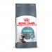 Aliments pour chat Royal Canin Hairball Care Adulte 2 Kg