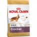 Pašarai Royal Canin Cocker Adult 12 kg Suaugęs Kukurūzai Paukščiai