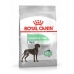 Lopbarība Royal Canin Maxi Digestive Care 12 kg Pieaugušais Putni
