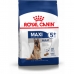 Fodder Royal Canin Maxi Adult 5+ Adult Rice Birds 15 kg