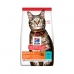 Aliments pour chat Hill's Feline Optimal Care Adult Adulte Poulet 10 kg