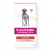 Fôr Eukanuba Veterinary Diet Intestinal Voksen 12 kg