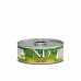 Cat food Farmina N&D Apple Wild Boar 70 g