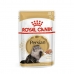 Aliments pour chat Royal Canin Adult 12 x 85 g