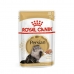 Macska eledel Royal Canin Adult 12 x 85 g