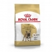 Foder Royal Canin French Bulldog Vuxen Gris 9 kg