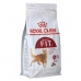 Aliments pour chat Royal Canin Regular Fit 32 Adulte Maïs Oiseaux 400 g