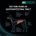 Krmivo Purina Pro Plan Veterinary Diets Canine 12 kg Dospelý Kukurica