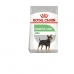 Foder Royal Canin Mini Digestive Care Voksen Fugle 8 kg