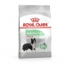 Fôr Royal Canin Medium Digestive Care 12 kg Voksen Kylling Fugler