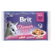 Cibo per gatti Brit Premium Pollo Salmone Carne di vitello 4 x 85 g