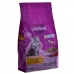 Mâncare pentru pisici Whiskas Junior 2-12 Pui 1,4 Kg