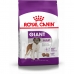 Фураж Royal Canin Giant Adult 15 kg Для взрослых
