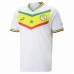 Ανδρικά Κοντομάνικα Πουκάμισα Ποδοσφαίρου Puma Senegal Λευκό