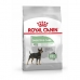 Hundefutter Royal Canin Mini Digestive Care Erwachsener 3 Kg