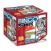 Bingo Cayro 300 Daudzkrāsains Plastmasa (18,5 x 21 x 19,5 cm)
