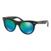 Ladies' Sunglasses Michael Kors MK2074F-3005U1 Ø 49 mm