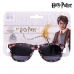 Óculos de Sol Infantis Harry Potter Preto