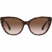 Moteriški akiniai nuo saulės Emporio Armani EA 4162