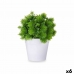 Decoratieve plant Plastic 17 x 19,5 x 17 cm (6 Stuks)