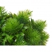 Διακοσμητικό Φυτό Πλαστική ύλη 17 x 19,5 x 17 cm (x6)
