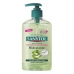 Hand Soap Dispenser Antibacterias Sanytol 280100 (250 ml) 250 ml