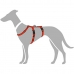 Imbracatura per Cani Hunter 48-70 cm Rosso S/M 36-51 cm