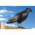 Afskrækker EDM Fugle polypropylen 36 x 13 x 18 cm