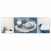 Set of 3 pictures DKD Home Decor 240 x 3 x 80 cm 30 x 40 cm Modern