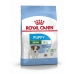 Foder Royal Canin Mini Puppy Barn/junior Fåglar 4 Kg