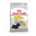Lopbarība Royal Canin Mini Dermacomfort Pieaugušais Teļa gaļa Dārzeņu 3 Kg