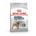 Fôr Royal Canin Voksen Fugler 3 Kg