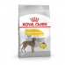 Takarmány Royal Canin Felnőtt Hús 12 kg