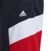 Pantalones Cortos Deportivos para Niños Adidas  D2M Big Logo Azul oscuro
