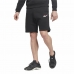 Pantaloni Scurți Sport pentru Bărbați Reebok Vector Fleece Negru