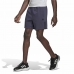 Men's Sports Shorts Adidas Dark blue