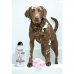 Pet shampoo Wahl 3999-7010 750 ml White