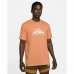 Vīriešu Krekls ar Īsām Piedurknēm Nike Dri-FIT Oranžs Laša krāsas
