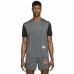 Vyriški marškinėliai su trumpomis rankovėmis Nike Dri-FIT Rise 365 Pilka Tamsiai pilka